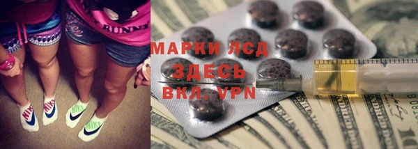 стафф Арсеньев