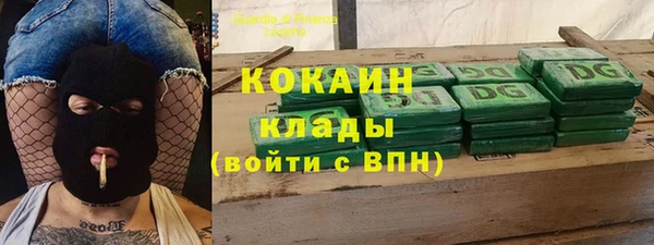 стафф Арсеньев