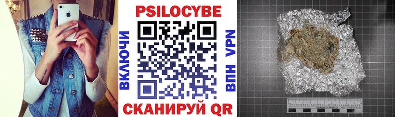 Псилоцибиновые грибы Psilocybine cubensis  где найти наркотики  Чехов 
